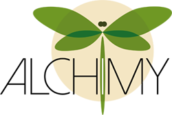 Logo Alchimy - dessin de libellule
